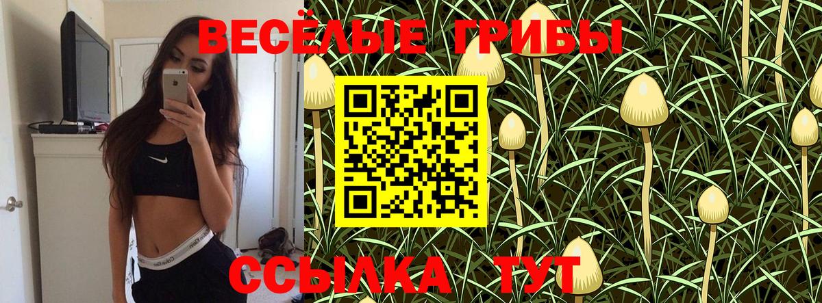 Псилоцибиновые грибы Cubensis Александров