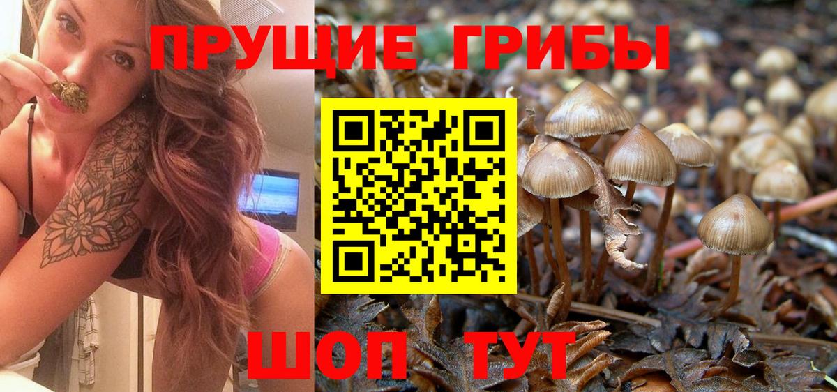 Галлюциногенные грибы прущие грибы  Псилоцибиновые грибы Magic Shrooms  Вход с VPN  Александров 